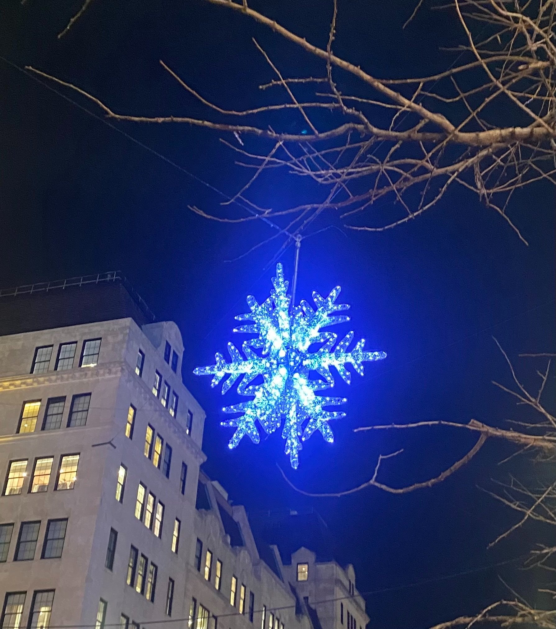 The Holidays Are Upon Us. Three Delightful Matters To Consider.