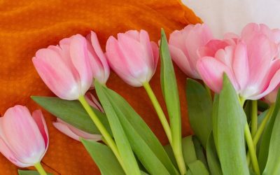 Spring–and Spring Clothes–Are Here. Seven Ideas.