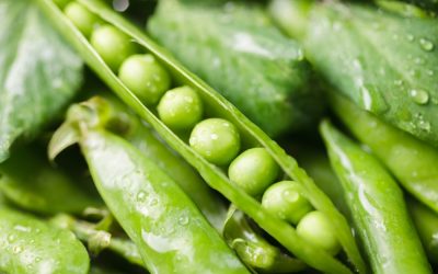 For Spring: Ten Green Pea Recipes.