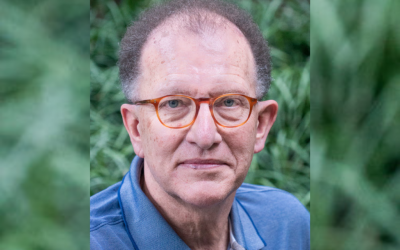 Tariffs: Why or Why Not?