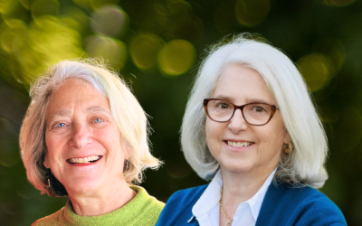 Force Multiplier: A Strategy to Win the Midterms and Help Save Democracy.