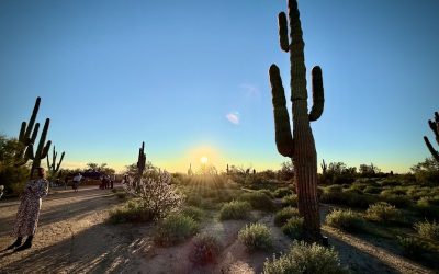 Scottsdale in Winter: Sun, Space, A Slower Pace