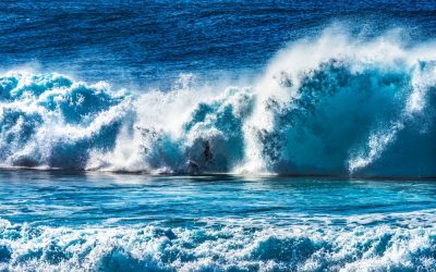 The Silver Tsunami. Ride the Wave.